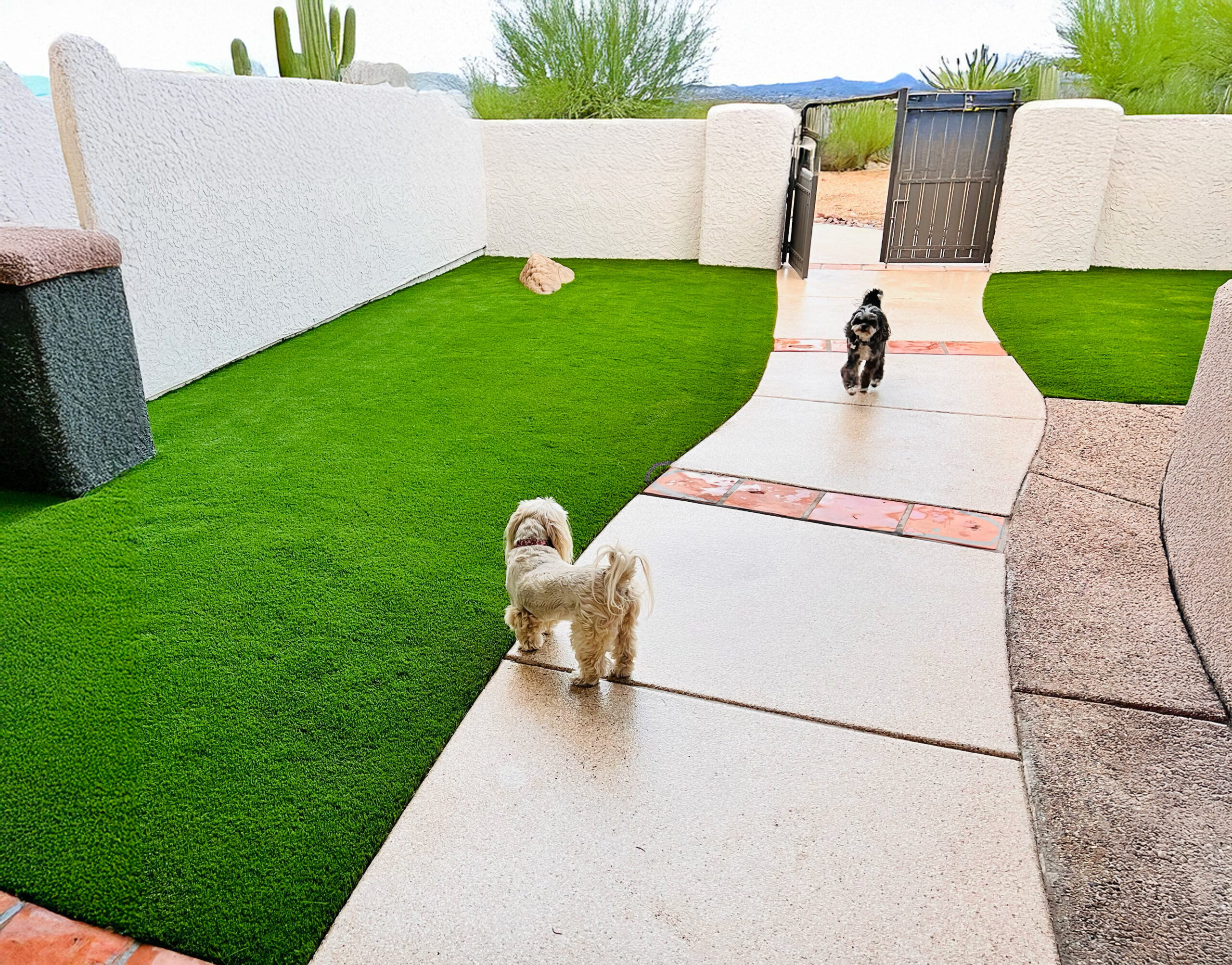 Artificial Turf Pet Area Installation